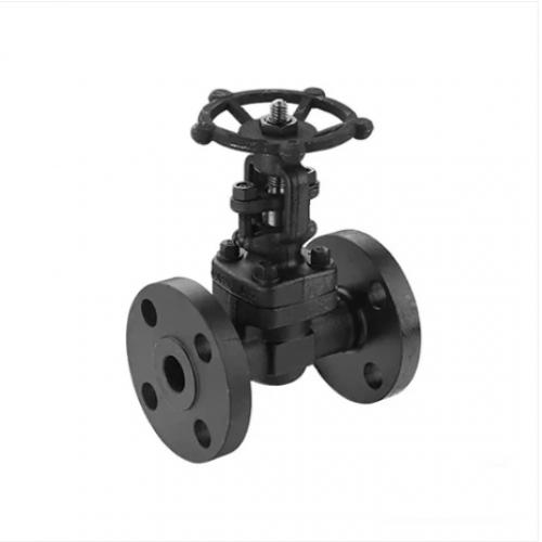 Flanged End Pressure Seal Gate Valve